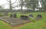 Dargle - St Andrews Church - Graves McKenzie family -  -  (6)