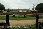 Selsey  farmyard
