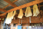 Inglenook Farm - Museum collection (39)