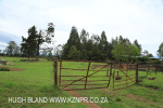 Inglenook Farm - paddock gate