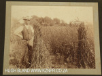 Inglenook Farm - photos and books (16)