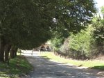 donnybrook-main-streets-16