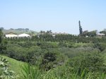 Doringkop - Farm Packhouses (1)