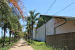 Doringkop - Farm Packhouses (5)