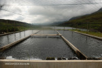 Cathedral Peak Hotel trout hatchery and dams (5)