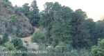 Cavern Berg Cow slip dam trail (1)