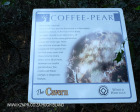 Cavern Berg Nature trail Coffee pear)
