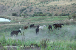 Cavern Berg Top Dams trail (1)