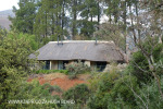 Cavern Berg chalets (11)