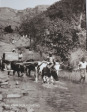 Cavern Berg old photos 1941. (4)