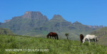 Emafweni - Dam & Cottage (2)