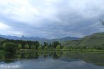 Lake Navarone tree reflections (2)