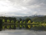 Lake Navarone tree reflections (21)