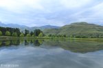 Lake Navarone tree reflections (3)