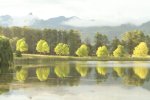 Lake Navarone tree reflections (9)