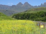 Didima - Cathedral Peak road (3)