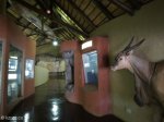 Didima Rock Art Centre (5)