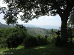 drummond-r103- mill cottage