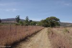 adelaide-farm-turn-off-dundee-s28-02-098-e31-12-682-elev-1243m