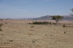 adelaide-farm-view-to-dundee-s28-01-955-e30-13-382-elev-1264m-7