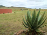 Blood River - eNcome Museum - view to blood river