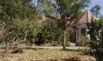 dundee-site-of-british-camp-79-karel-landman-st-house-post-boer-war-s28-09-820-e30-13-12
