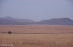 dundee-sunrise-nqutu-road-24-05-12