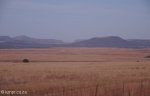 dundee-sunrise-nqutu-road-24-05-9