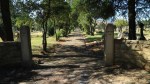 Dundee Cemetery - Grave -Entrance 1948