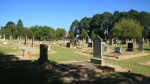 Dundee Cemetery - Grave - general views (5)