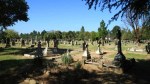 Dundee Cemetery - Grave - general views (7)