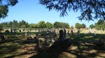 Dundee Cemetery - Grave - general views (9)