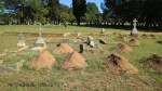 Dundee Cemetery - Grave - general