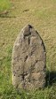Dundee Cemetery - Grave - illegible