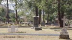 Dundee - Old Cemetary - Military Graves - Monument - S28.10.453 E30.13.898 Elev 1270m (20)