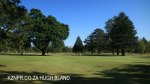 Dundee - Country Club fairways (2)
