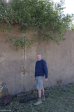 fort-pine-exterior-walls-dundee-1878-s28-13-107-e30-21-377-elev-1385m-67