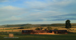 Dundee - Lennox farm a - old pig sty  (9)