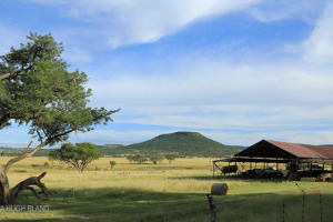 DUNDEE - Lennox Farm