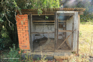 Dundee - Talana - Thornley Farm