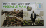 Rooftop Gardens 77 Monty Naiker (Pine) Street (1)