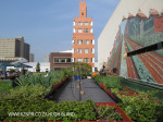 Rooftop Gardens 77 Monty Naiker (Pine) Street (13)