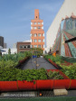 Rooftop Gardens 77 Monty Naiker (Pine) Street (14)