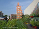 Rooftop Gardens 77 Monty Naiker (Pine) Street (15)