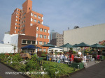 Rooftop Gardens 77 Monty Naiker (Pine) Street (17)
