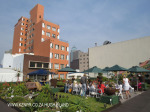 Rooftop Gardens 77 Monty Naiker (Pine) Street (18)