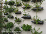 Rooftop Gardens 77 Monty Naiker (Pine) Street (2)