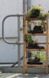 Rooftop Gardens 77 Monty Naiker (Pine) Street (3)