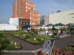 Rooftop Gardens 77 Monty Naiker (Pine) Street (4)