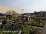 Rooftop Gardens 77 Monty Naiker (Pine) Street (5)